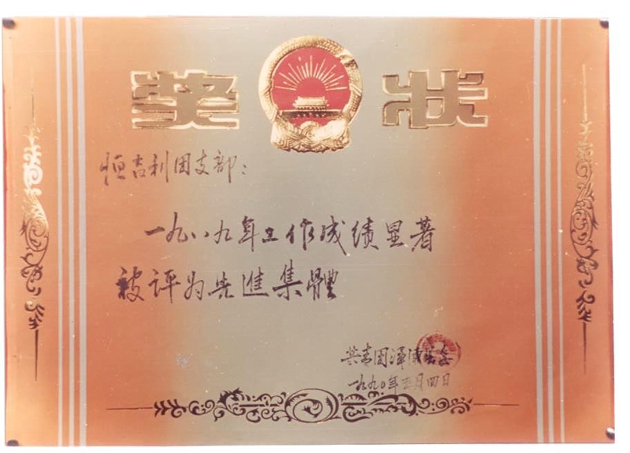 共青团浑源县委授予恒吉利团支部一九八九年工作成绩显著“先进集体”奖状